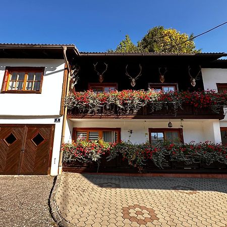 Haus Wagner Lägenhet Bad Kleinkirchheim Exteriör bild